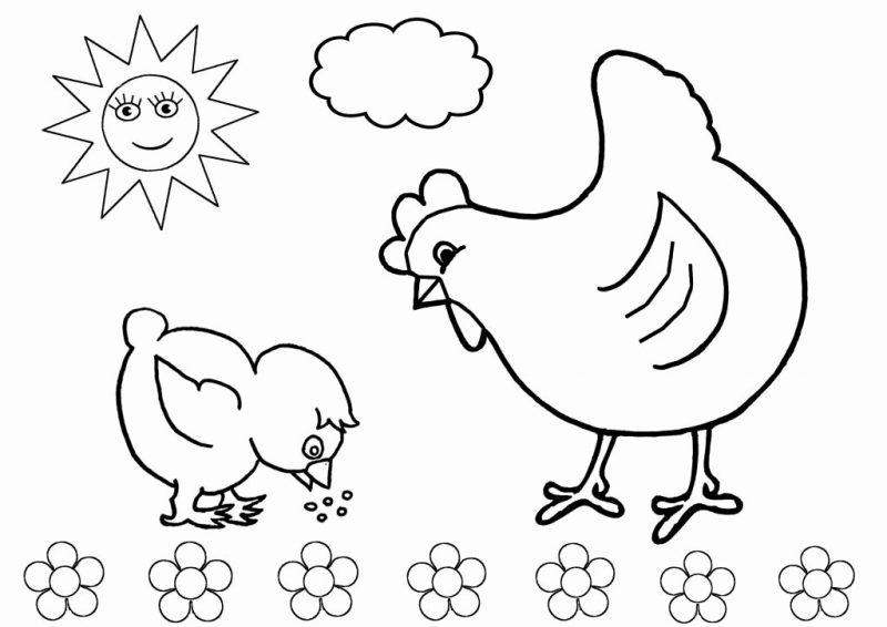 Phim hoạt hình về một con gà đang ăn