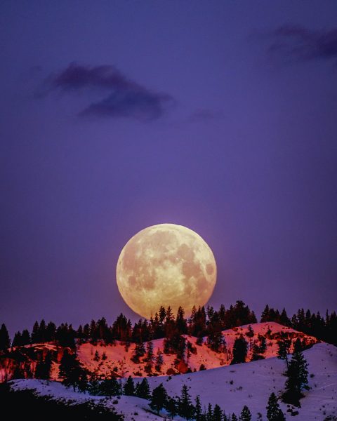 Một bức ảnh buổi tối với mặt trăng lớn
