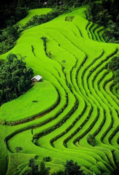 sân thượng giấy tờ điện thoại di động