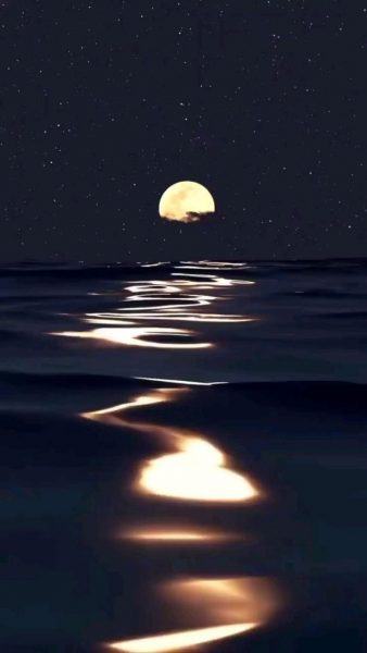 hình ảnh bầu trời đêm với mặt trăng vàng và mặt nước