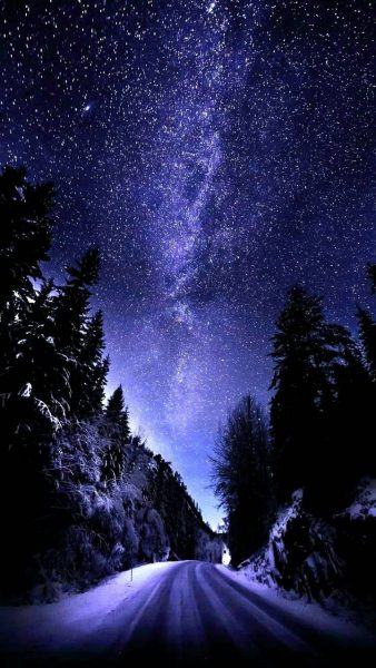 một bức tranh về bầu trời đêm và khu rừng mùa đông