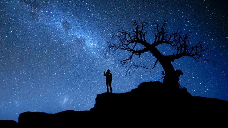 một bức tranh về bầu trời đêm, những cái cây khô và một cậu bé