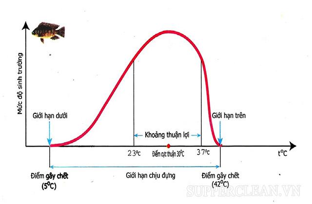 Yếu tố ranh giới môi trường