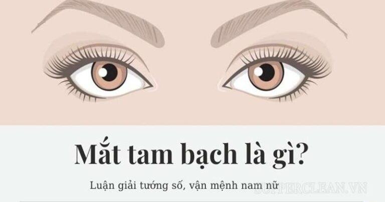 Mắt tam bạch là gì? Đặc điểm, cách nhận biết và những điều thú vị 