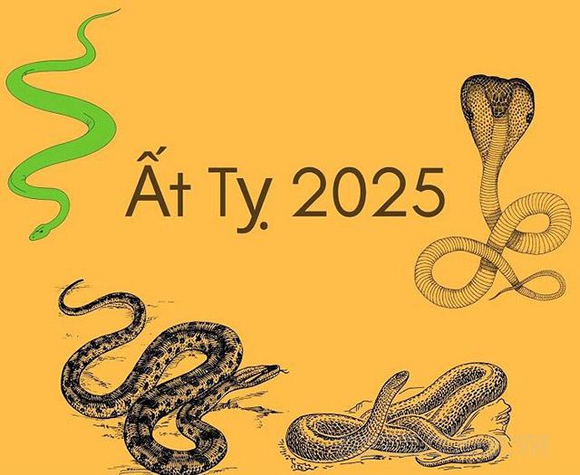 2025 là năm con rắn