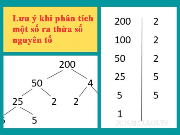 Thừa số là gì? Cách phân tích một số dưới dạng các thừa số nguyên tố