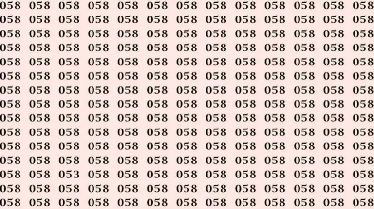 Optical Illusion: If you have Sharp Eyes Find the number 053 among 058 in 7 Seconds?