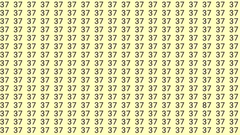 Optical Illusion Test: If you have Hawk Eyes Find the number 87 among 37 in 7 Seconds?