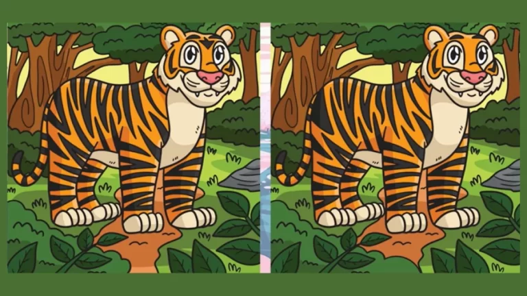 Spot the difference Game: Only a genius can find the 5 differences in less than 30 seconds!