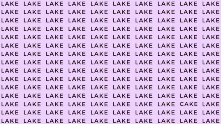 Observation Skill Test: If you have Eagle Eyes find the Word Cake among Lake in 15 Secs