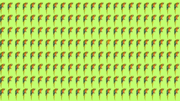 Optical Illusion Brain Test: If you have Sharp Eyes Find the Odd Parrot in 12 Seconds