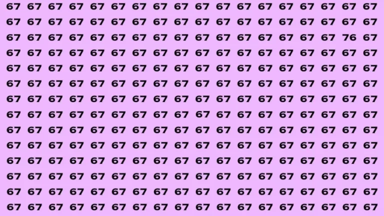 Observation Brain Test: If you have Hawk Eyes Find the Number 76 among 67 in 15 Secs