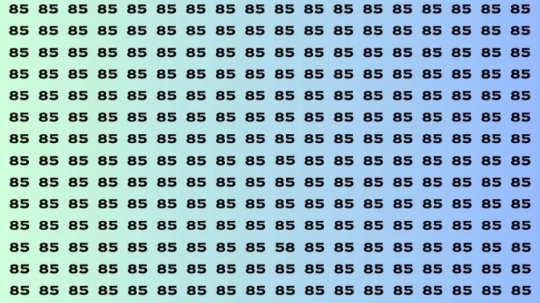 Brain Test: If you have Eagle Eyes Find the Number 58 among 85 in 15 Secs