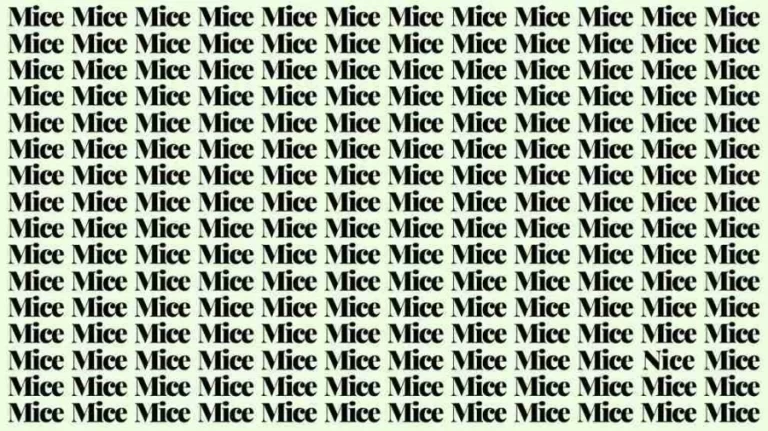 Observation Skills Test: If you have Hawk Eyes find the Word Nice among Mice in 15 Secs