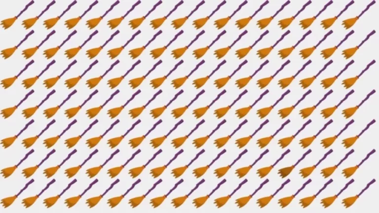 Optical Illusion: If you have Eagle Eyes find the Odd Broomstick in 12 Seconds