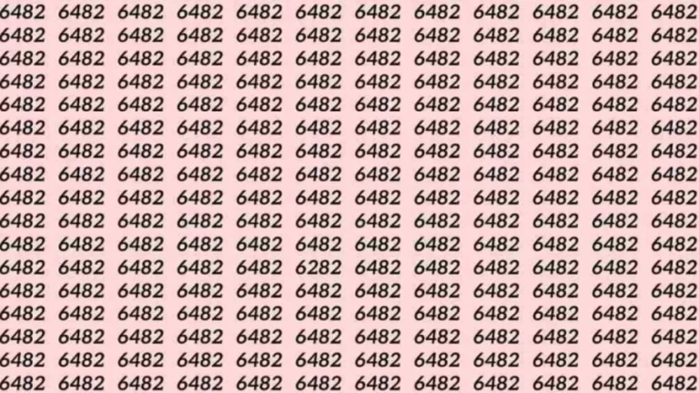 Observation Skills Test: If you have Eagle Eyes Find the number 6282 among 6482 in 6 Seconds?