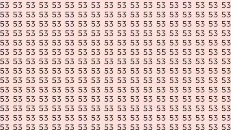 Optical Illusion Brain Test: If you have Sharp Eyes Find the number 55 among 53 in 6 Seconds?