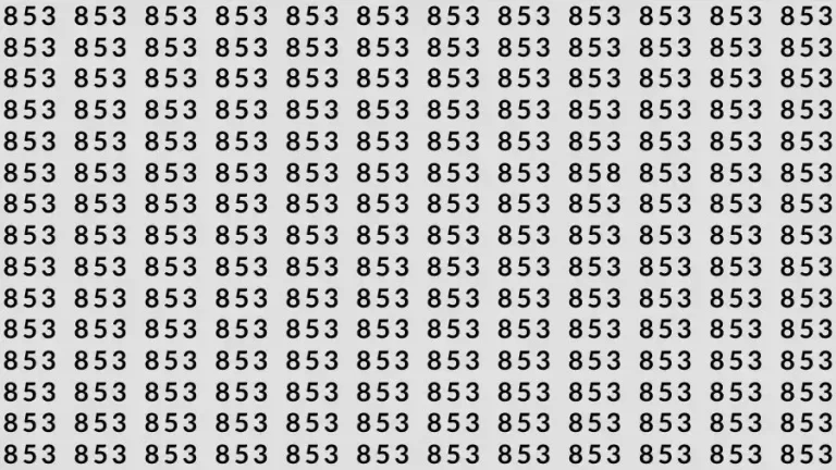 Observations Skills Test: If you have Sharp Eyes Find the number 858 among 853 in 7 Seconds?