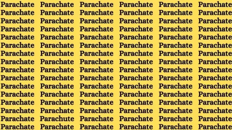 Brain Teaser: If you have Hawk Eyes Find the word Parachute in 15 Secs