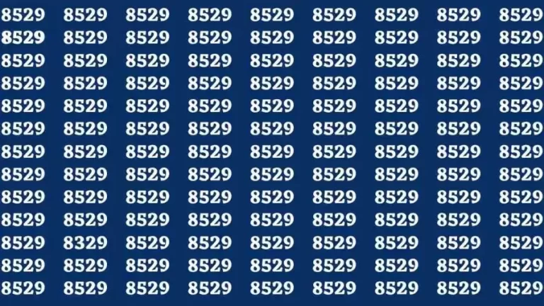 Observation Brain Test: If you have Hawk Eyes Find the Number 8329 among 8529 in 15 Secs