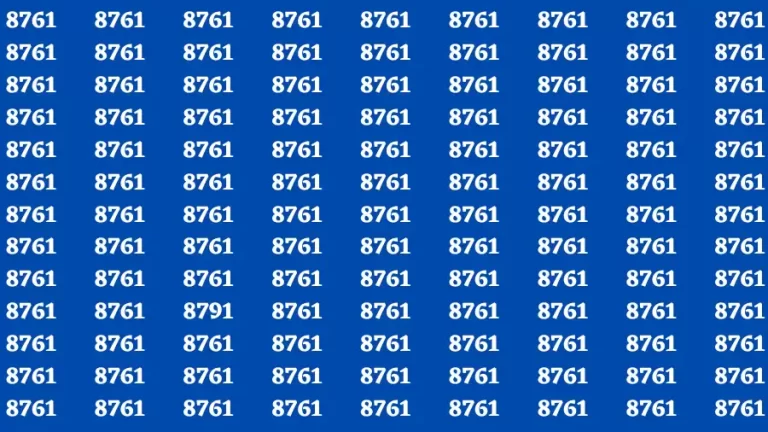 Observation Brain Test: If you have Hawk Eyes Find the Number 8791 among 8761 in 15 Secs