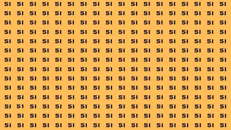 Brain Test: If you have Eagle Eyes Find the Number 51 in 15 Secs