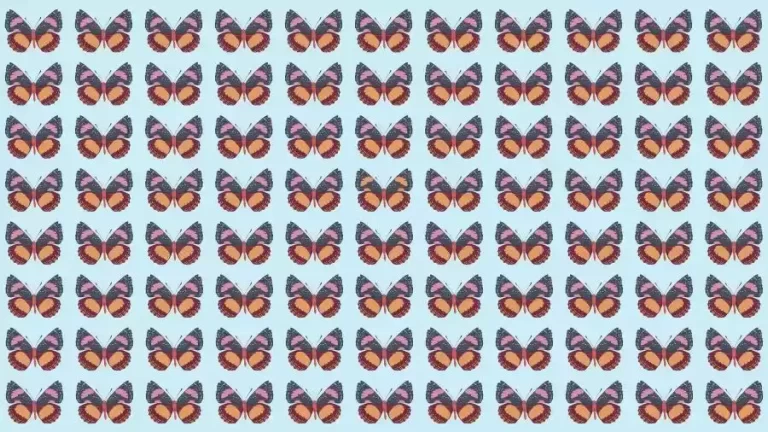 Optical Illusion Brain Test: If you have Eagle Eyes find the Odd Butterfly in 8 Seconds