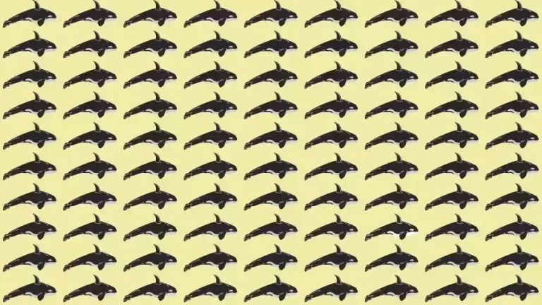 Optical Illusion Brain Test: If you have Eagle Eyes find the Odd Whale in 8 Seconds