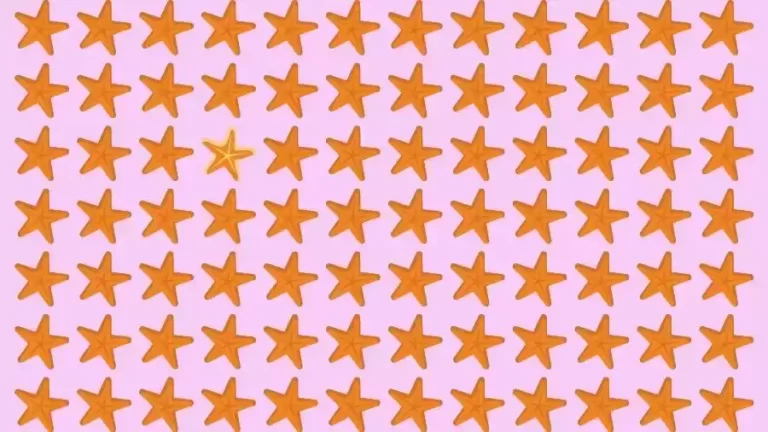 Optical Illusion Brain Test: If you have Eagle Eyes find the Odd StarFish in 10 Seconds