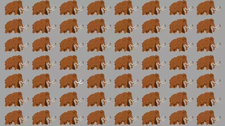 Optical Illusion Challenge: If you have Eagle Eyes find the Odd Mammuthus in 15 Seconds