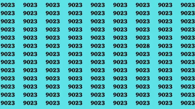 Observation Brain Challenge: If you have Eagle Eyes Find the Number 9028 in 15 Secs