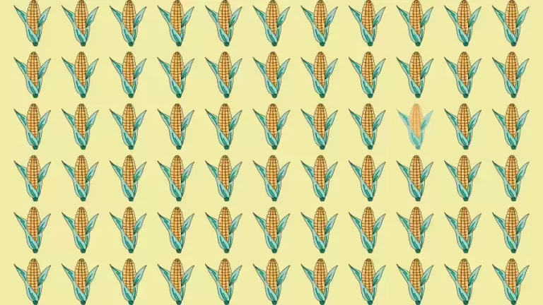 Optical Illusion Brain Test: If you have Eagle Eyes find the Odd Corn in 8 Seconds