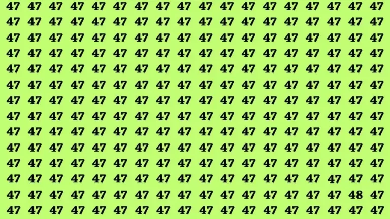 Observation Brain Test: If you have Hawk Eyes Find the Number 48 in 15 Secs