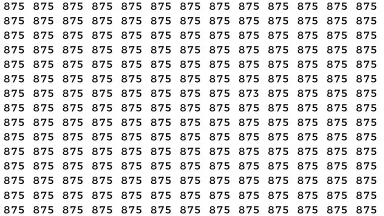 Observation Skill Test: If you have Eagle Eyes Find the number 873 among 875 in 10 Seconds?