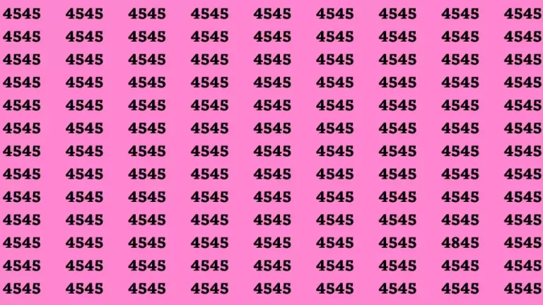 Brain Test: If you have Eagle Eyes Find the Number 4845 in 15 Secs