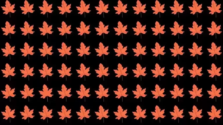 Optical Illusion Challenge: If you have Eagle Eyes find the Odd Leaf in 15 Seconds