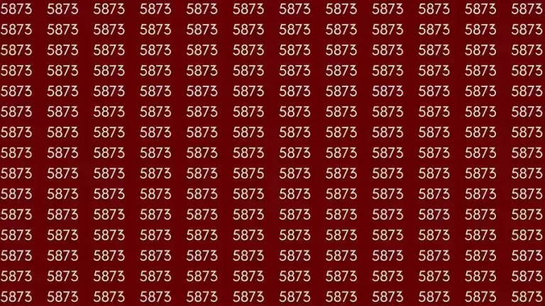 Observation Brain Challenge: If you have Hawk Eyes Find the number 5875 among 5873 in 15 Seconds?