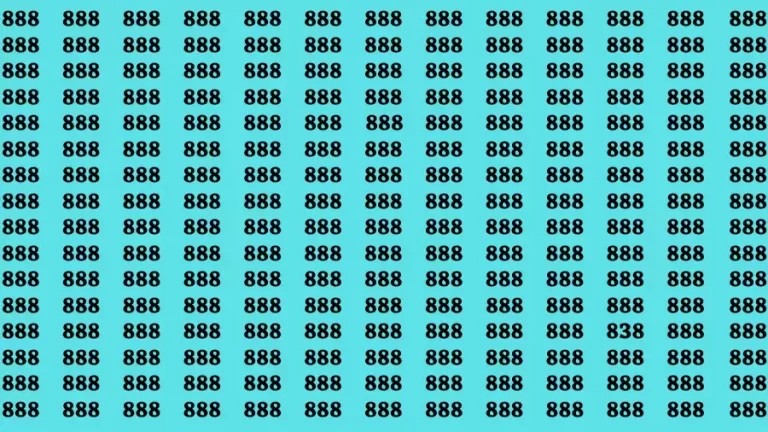 Observation Brain Challenge: If you have Sharp Eyes Find the number 838 in 20 Secs