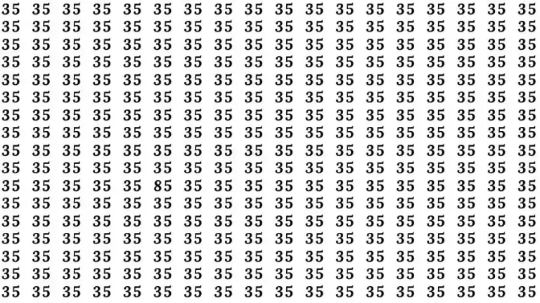 Observation Skills Test: If you have Eagle Eyes Find the number 85 among 35 in 9 Seconds?