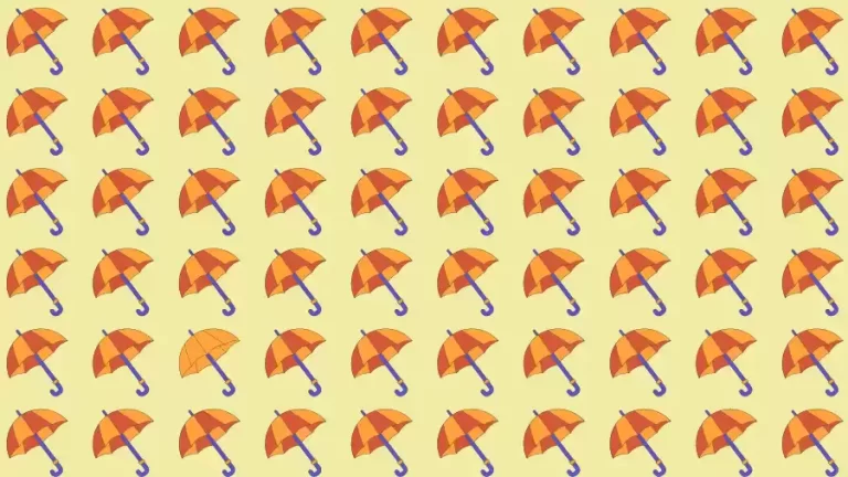 Optical Illusion Brain Test: If you have Eagle Eyes find the Odd Umbrella in 8 Seconds