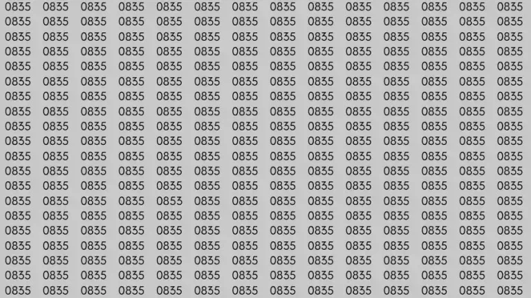 Optical Illusion Brain Test: If you have Sharp Eyes Find the number 0853 among 0835 in 12 Seconds?