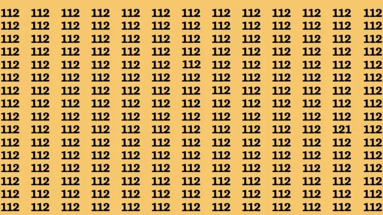 Observation Brain Challenge: If you have Hawk Eyes Find the Number 121 in 15 Secs