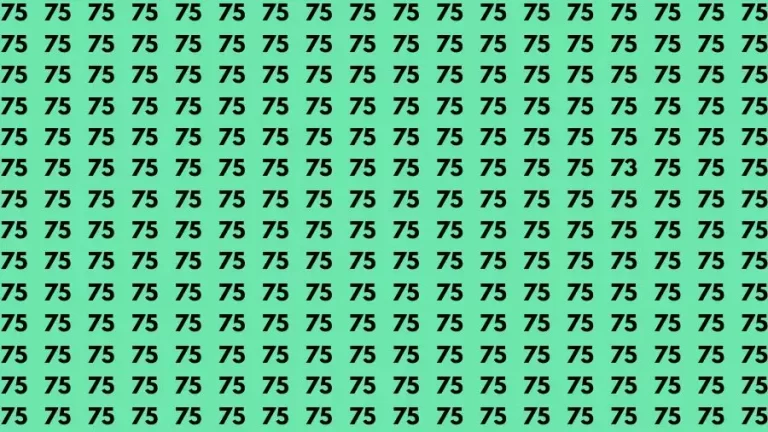 Observation Skill Test: If you have Sharp Eyes Find the Number 73 among 75 in 15 Secs