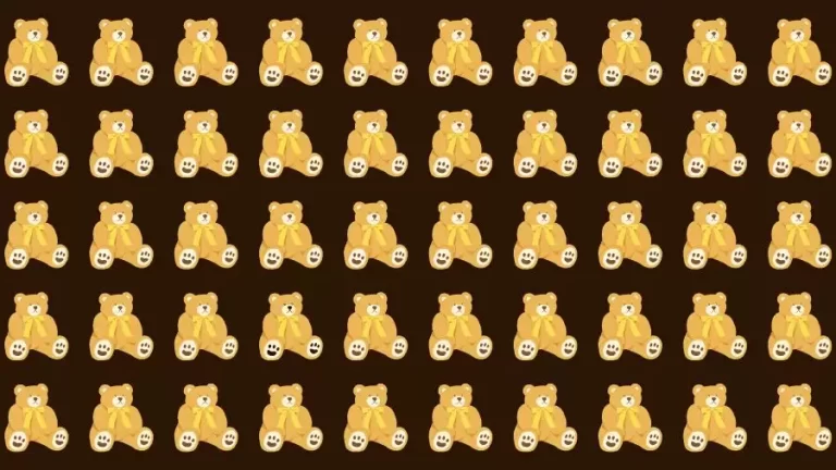 Optical Illusion Challenge: If you have Eagle Eyes find the Odd Teddy Bear in 15 Seconds