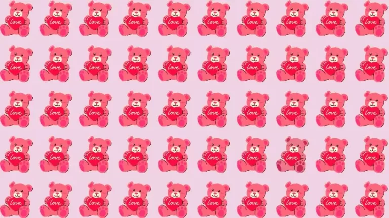 Optical Illusion Brain Test: If you have Eagle Eyes find the Odd Teddy in 8 Seconds