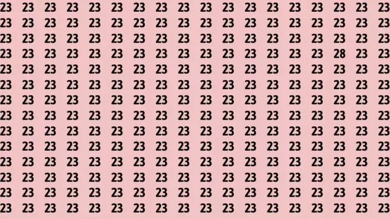 Optical Illusion Brain Test: If you have Eagle Eyes Find the Number 28 among 23 in 15 Secs