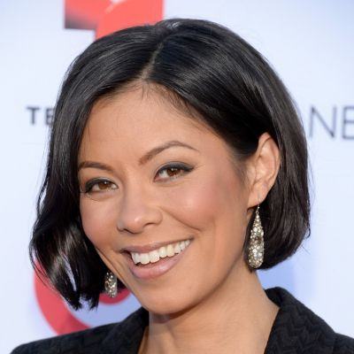 Alex Wagner- Wiki, Age, Height, Net Worth, Husband, Ethnicity