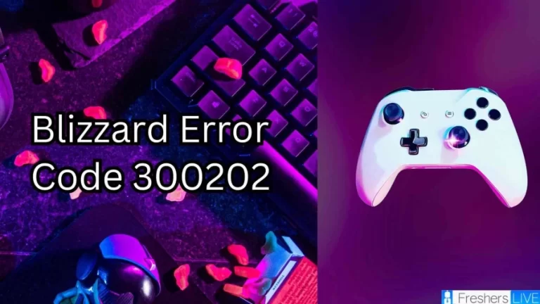 Blizzard Error Code 300202, How to Fix This Issue?