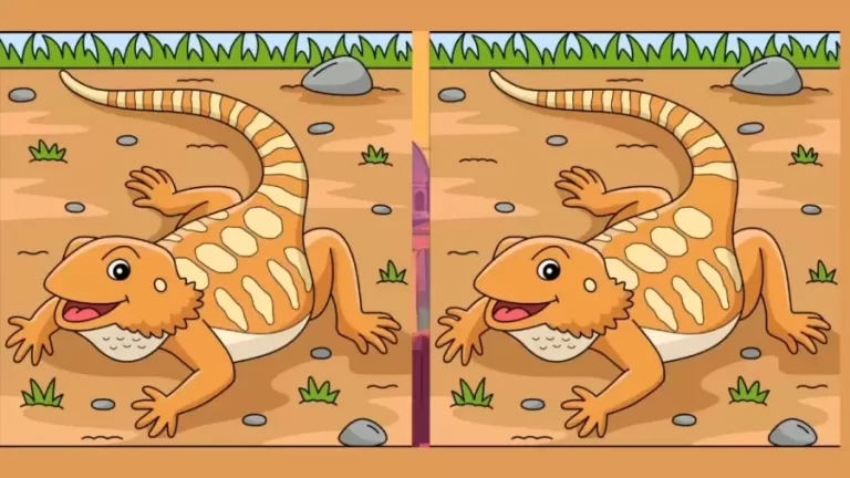 Brain Teaser – Can You Find 3 Differences In These Pictures? Picture Puzzle