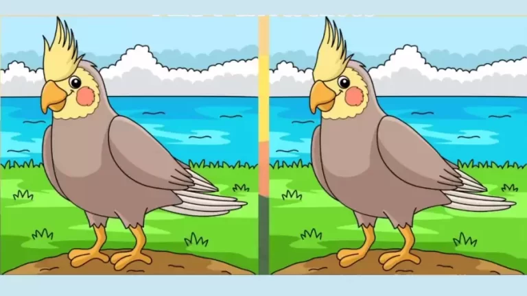 Brain Teaser Spot The Difference Game: Only Hawk Eyes can spot the difference between these two Images within 30 Seconds